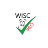 WISC-V Test Preparation Pro - Perfect Consulting B.V.