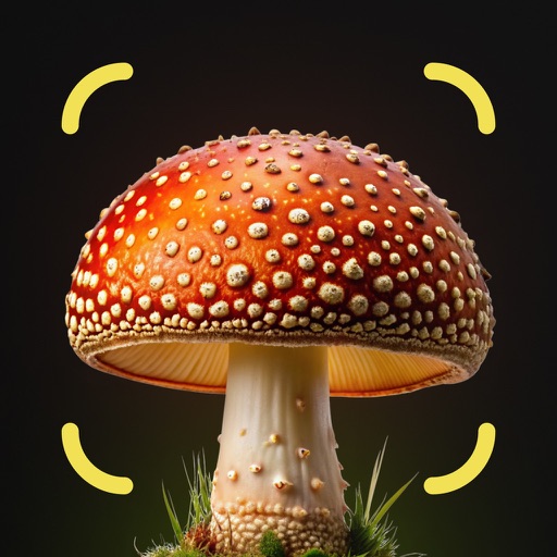 Mushroom Identifier: Finder AI
