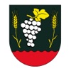 Železník icon