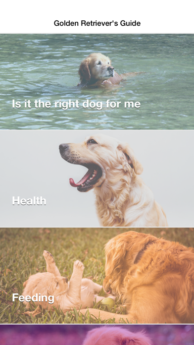 Golden Retriever: Breed Guide iPhone screenshot