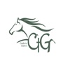 CTG Horse icon