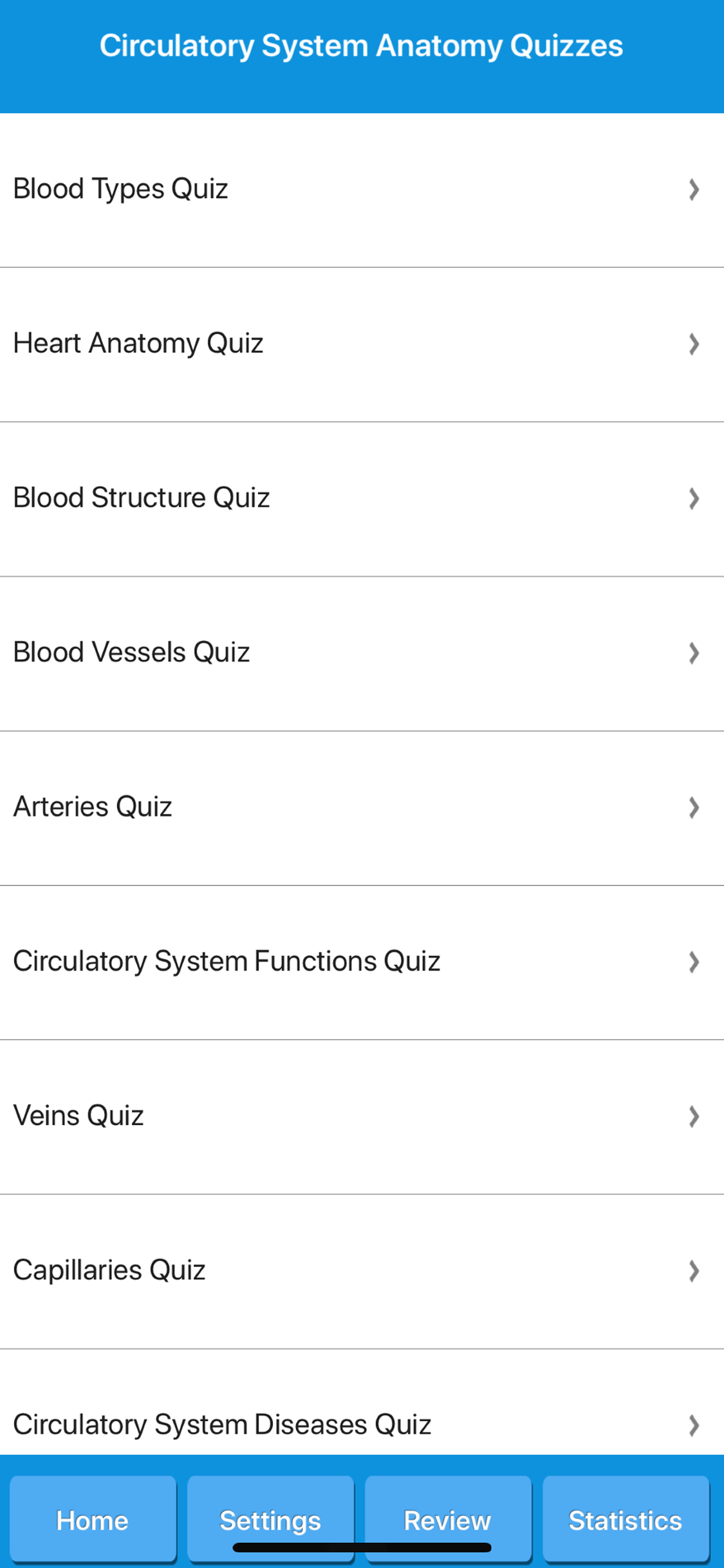 Circulatory System Anatomy