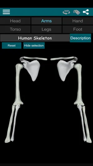 Bones 3D (Anatomy) screenshot 2