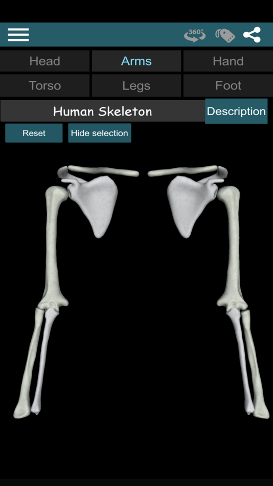 #2. Bones 3D (Anatomy) (iOS) 由: Victor Gonzalez Galvan