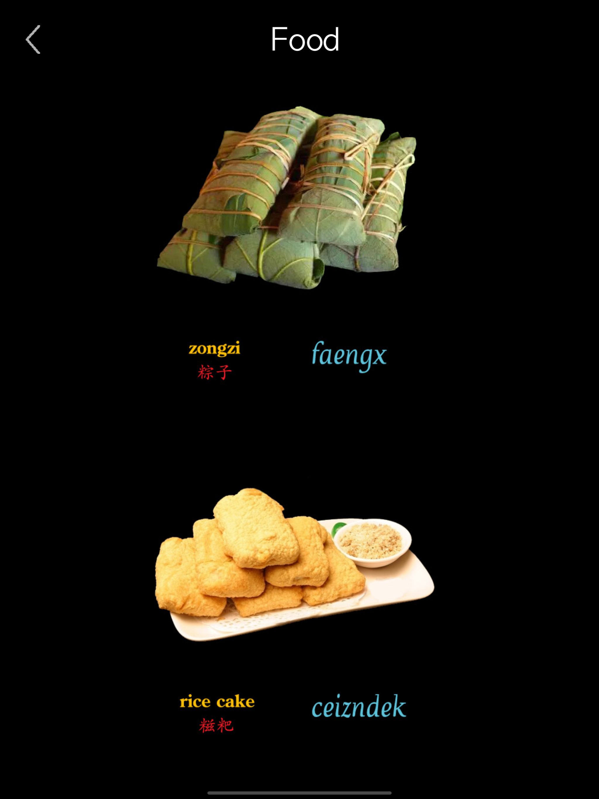 Learn Zhuang Language !