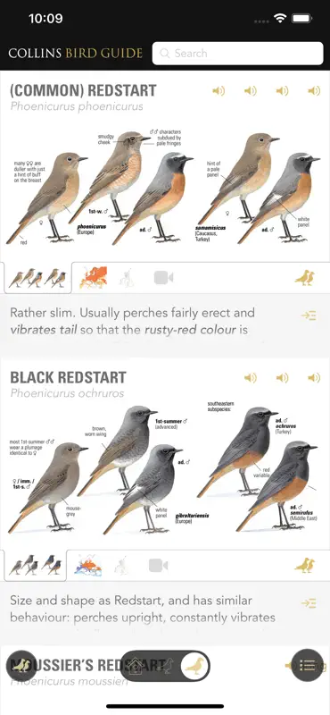 Collins British Bird Guide screenshot 3 of 4
