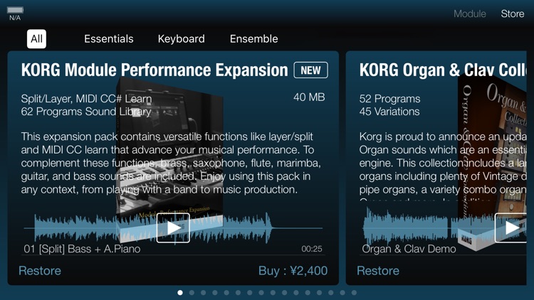 KORG Module