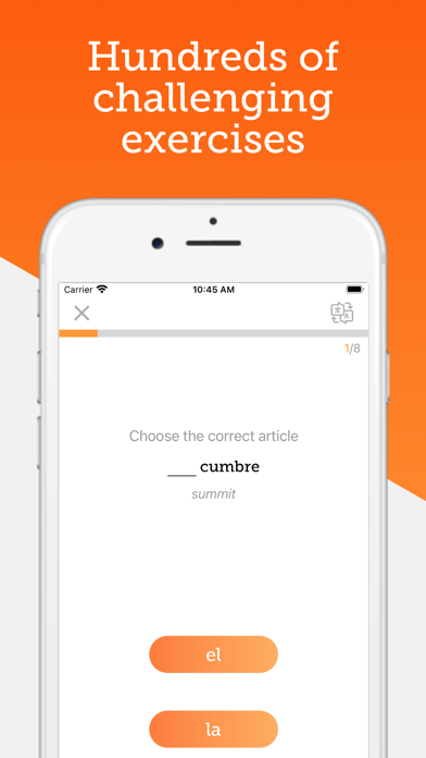 Spanish Grammar: Gramático Screenshot