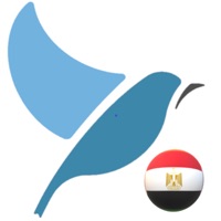 Bluebird logo