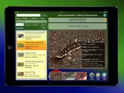 california amphibians ipad bildschirmfoto 2