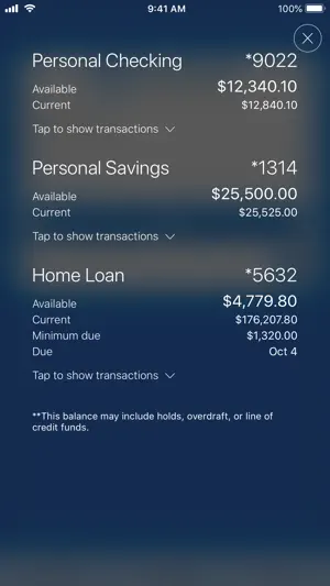 Velocity Community CU screenshot 1