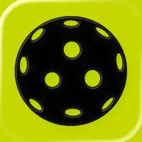Pickleball Pro