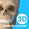 维萨里3D解剖：权威的解剖学习平台-中国3D数字人体服务提供商。
