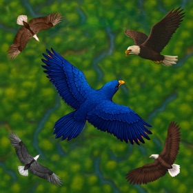 Flying Bird Simulator Game