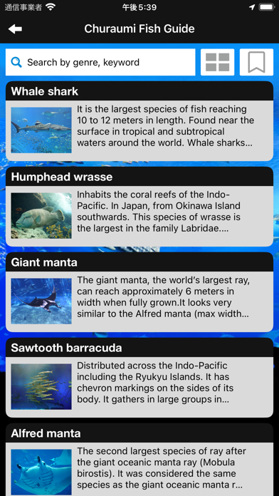 OceanExpoPark×ChuraumiAquarium