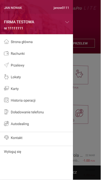BusinessPro Lite Screenshot