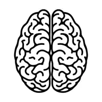 Memorize Anything Forever