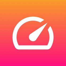 Speedometer Live PiP