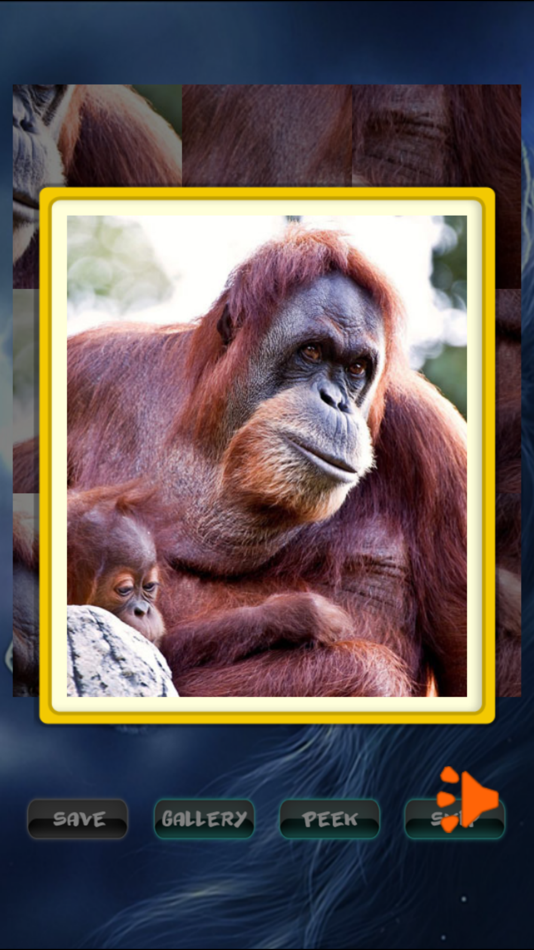 #3. Animals Jigsaw Puzzle (iOS) 来自: John Smith