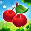 Fruit Fun Fest icon