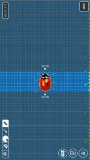 millimeterpro - ekranda cetvel iphone resimleri 2