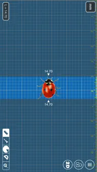 Millimeter Pro - screen ruler iphone bilder 1
