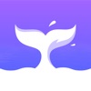 RocNovel icon