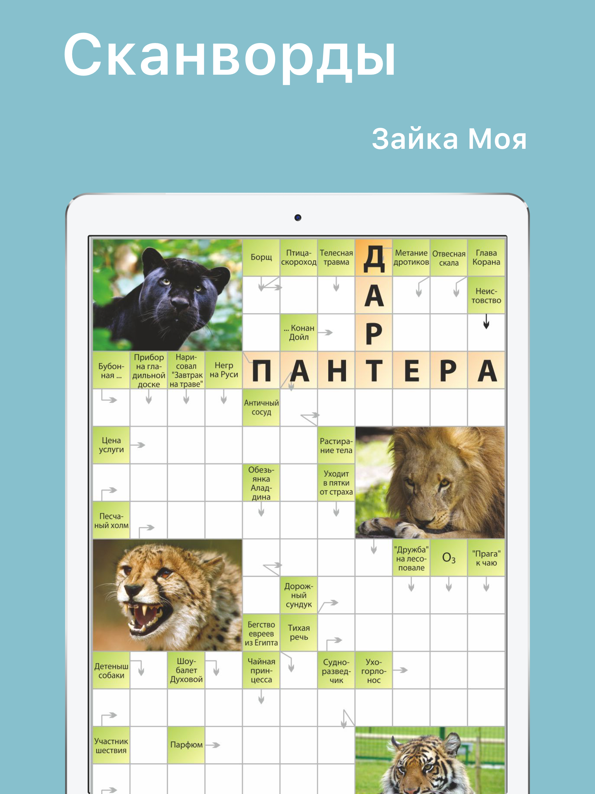Crosswords Zaika Moya screenshot 2