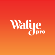 Watiye Pro : chauffeur