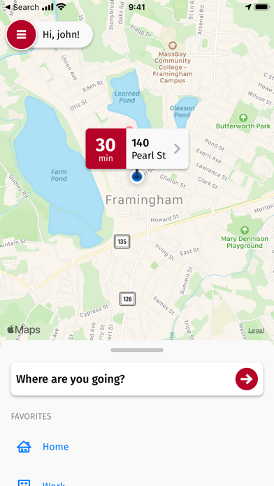 Tommy's Taxi Screenshot