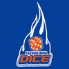 立川DICE icon