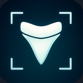 Shark Tooth Identifier: Scan