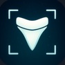 Get Shark Tooth Identifier: Scan for iOS, iPhone, iPad Aso Report