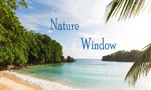 Nature Window