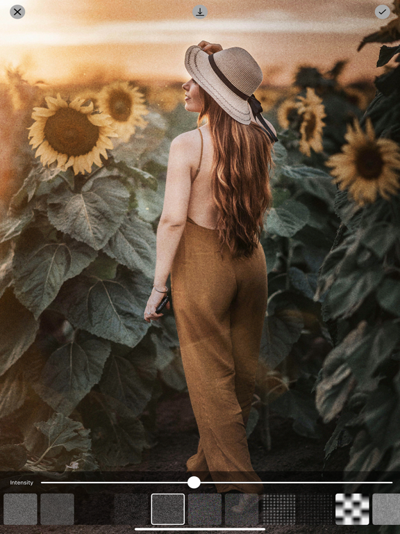 Photo Filters + Preset Editor iPad screenshot