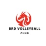 Get BRD volleyball club for iOS, iPhone, iPad Aso Report