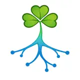 SynapseCPT - Icona app
