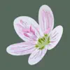Flora of Virginia App Positive Reviews
