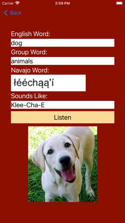 Speak Navajo Language Volume 1 screenshot-7