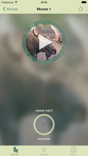 Animal decoy screenshot 3