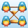 Knotty Birds: Puzzle Game icon