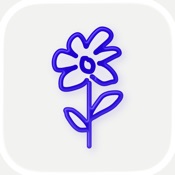 one year: daily journal