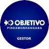 Gestor Objetivo Pinda icon