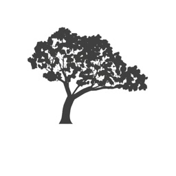 Bent Tree Network