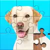 Similar Jigsaw Puzzles Explorer Apps