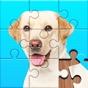 Jigsaw Puzzles Explorer app download