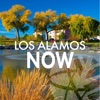 Los Alamos Now icon
