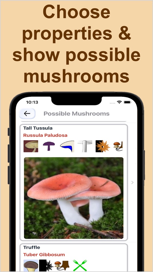 #2. Forest Mushroom Identification (iOS) Podle: Kesifler Dunyasi Ltd.