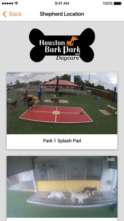 Houston Bark Park screenshot-3