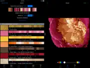 color hints ipad resimleri 1
